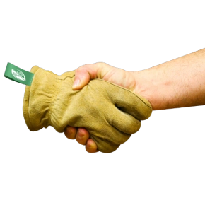 178_strategisch-samenwerking