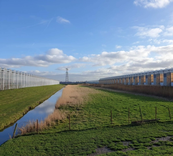 Broekpolder2040