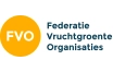 411_fvo
