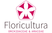 416_floricultura